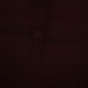 Meet your Posher, Shivani